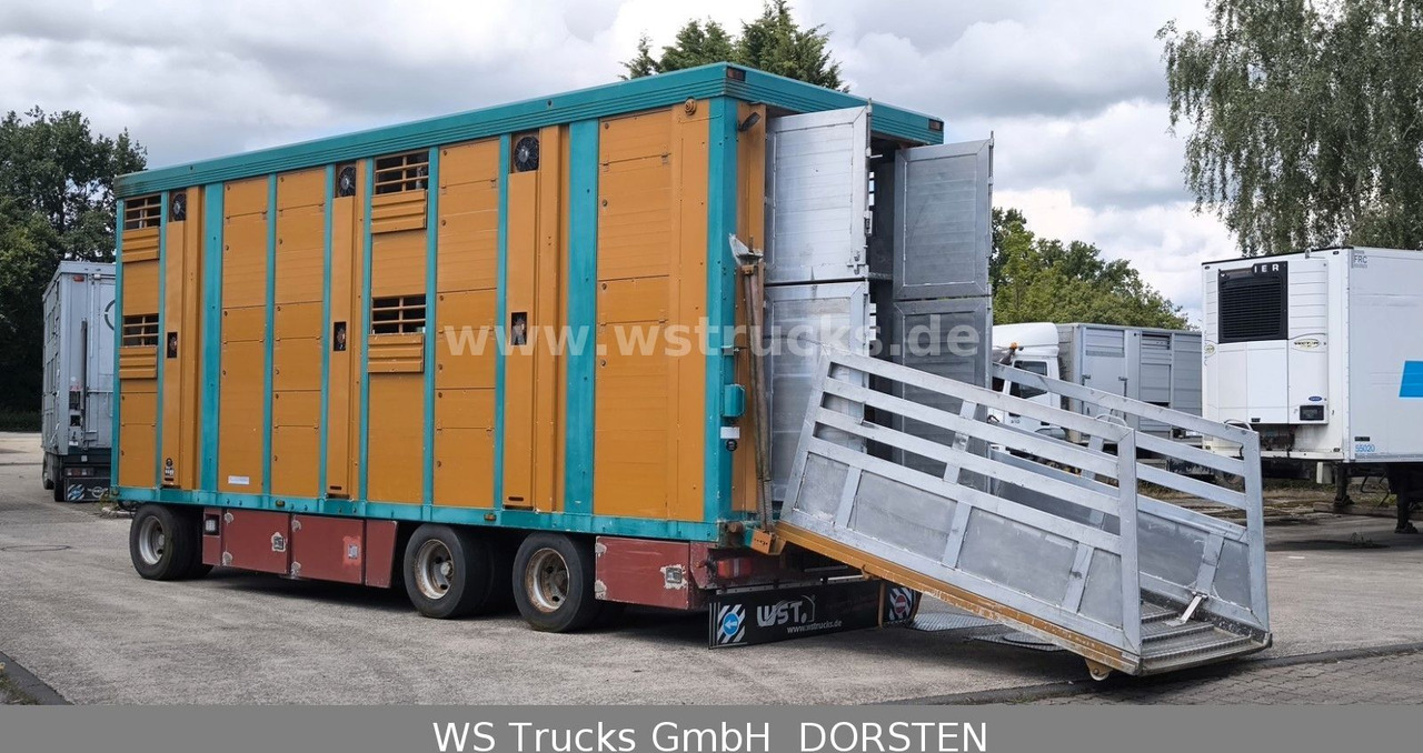 Remolque transporte de ganado Menke-Janzen Menke 2 Stock  Vollalu 8 m Hubdach Viehanhänger: foto 8