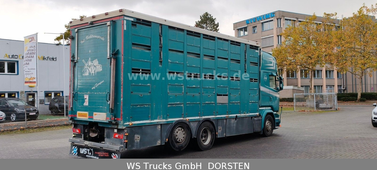 Scania R 490 Topline Menke 4 Stock Hubdach | Retader - Camión para caballos: foto 3 Scania R 490 Topline Menke 4 Stock Hubdach | Retader - Camión para caballos: foto 3