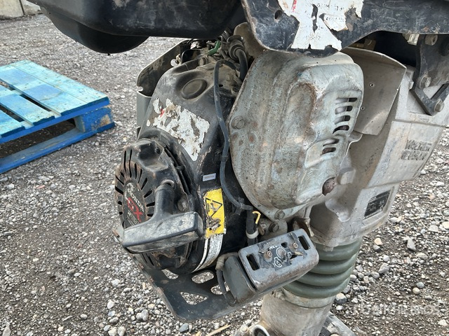 2018 Wacker Neuson BS50-4AS Jumping Jack Tamper - Vibroapisonador: foto 5 2018 Wacker Neuson BS50-4AS Jumping Jack Tamper - Vibroapisonador: foto 5