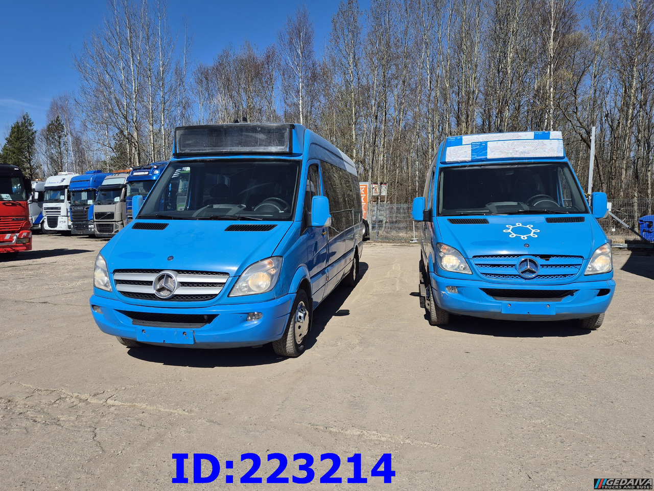 MERCEDES-BENZ Sprinter 316 VIP Euro5 (2pcs. available) - Autocar: foto 2 MERCEDES-BENZ Sprinter 316 VIP Euro5 (2pcs. available) - Autocar: foto 2