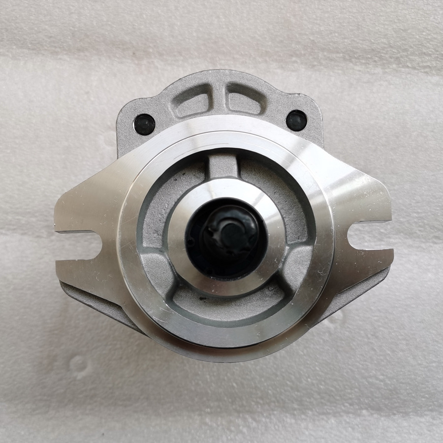 QINGDAO PROMISING Hydraulic Pump CBWA-F314-AL5Φ9 - Bomba hidráulica para Cargadora de ruedas: foto 3 QINGDAO PROMISING Hydraulic Pump CBWA-F314-AL5Φ9 - Bomba hidráulica para Cargadora de ruedas: foto 3