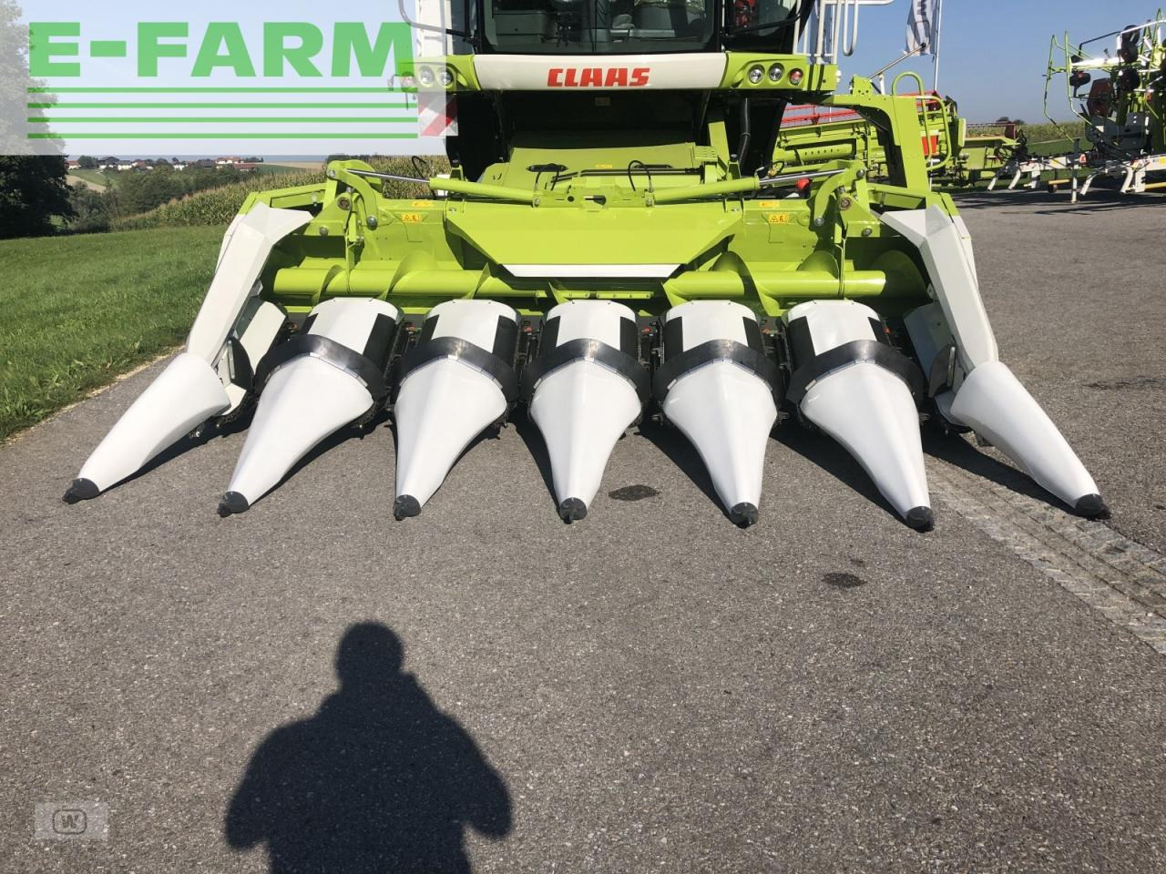 Cabezal de maíz CLAAS corio 670 fc conspeed: foto 6