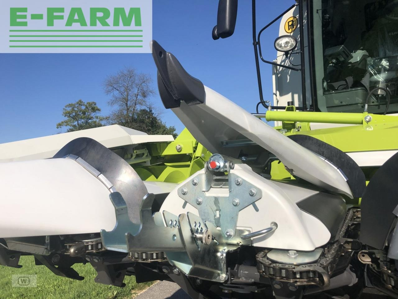 Cabezal de maíz CLAAS corio 670 fc conspeed: foto 16