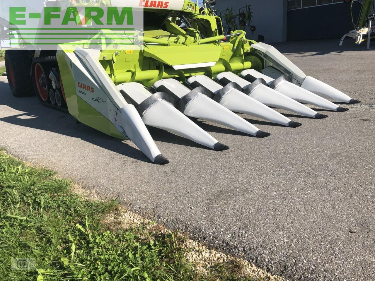 Cabezal de maíz CLAAS corio 670 fc conspeed: foto 7