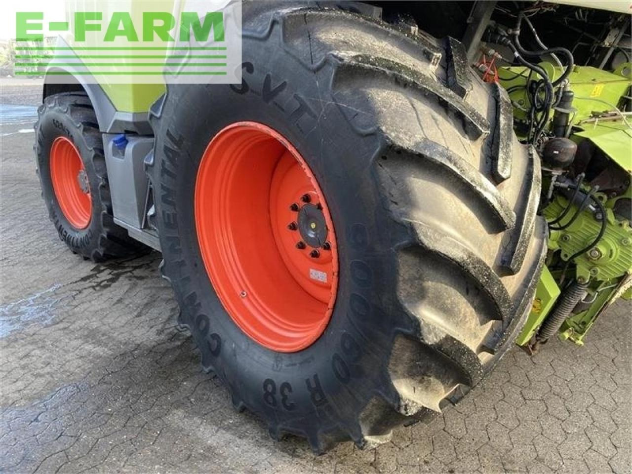 Accesorios para cosechadoras de forraje CLAAS jaguar 950: foto 6