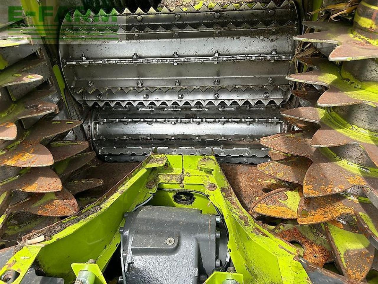 Cosechadora de forraje CLAAS jaguar 950: foto 12