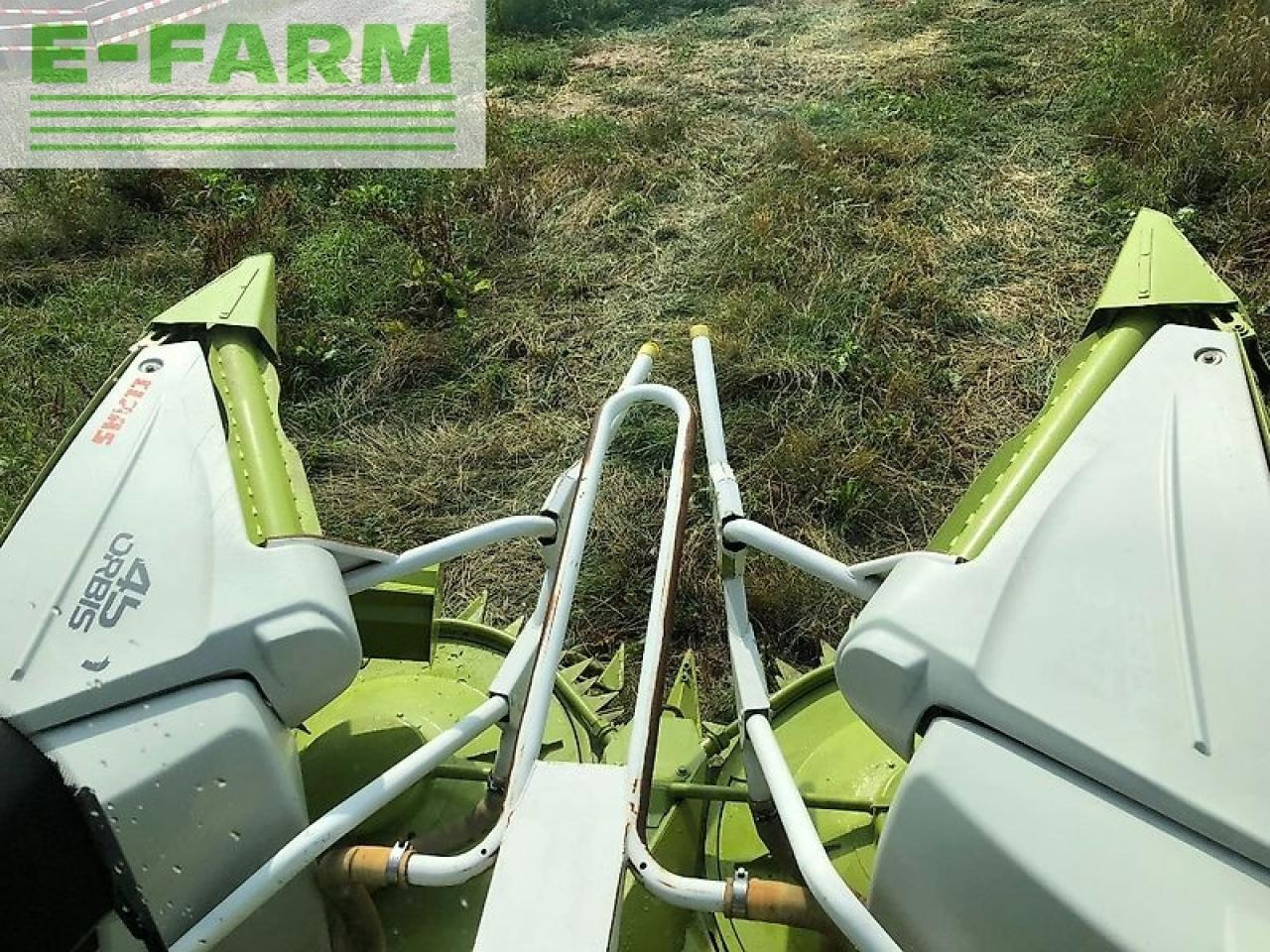 Accesorios para cosechadoras de forraje CLAAS orbis 450: foto 13