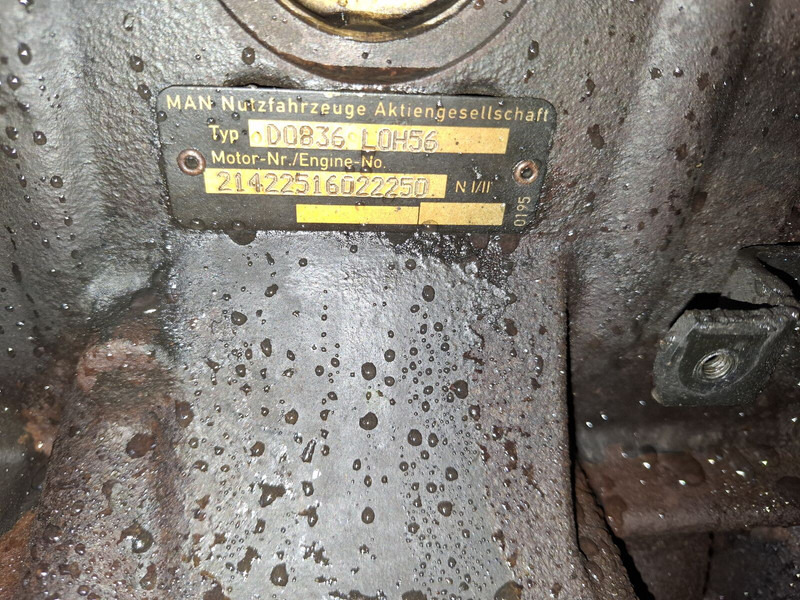 Leasing de MAN D2866LOH27 MAN D2866LOH27: foto 8
