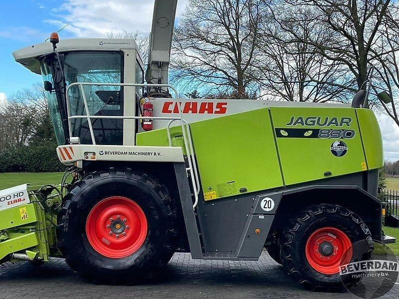 Claas Jaguar 830 492 - Cosechadora de forraje: foto 5 Claas Jaguar 830 492 - Cosechadora de forraje: foto 5