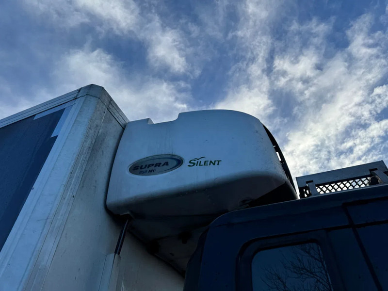 Camión frigorífico Scania P230 4X2 - EURO 4 + CARRIER SUPRA 950 MT + DHOLLANDIA LIFT: foto 12