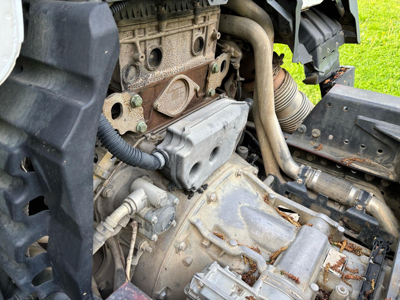 Camión portacontenedor de cadenas MERCEDES-BENZ Antos 2540: foto 12