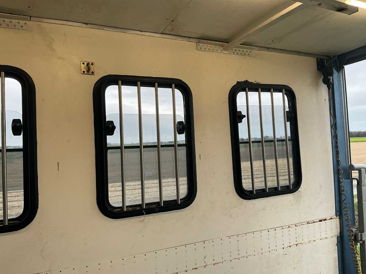 Camión 2004 MAN H09 CATTLE TRUCK: foto 18