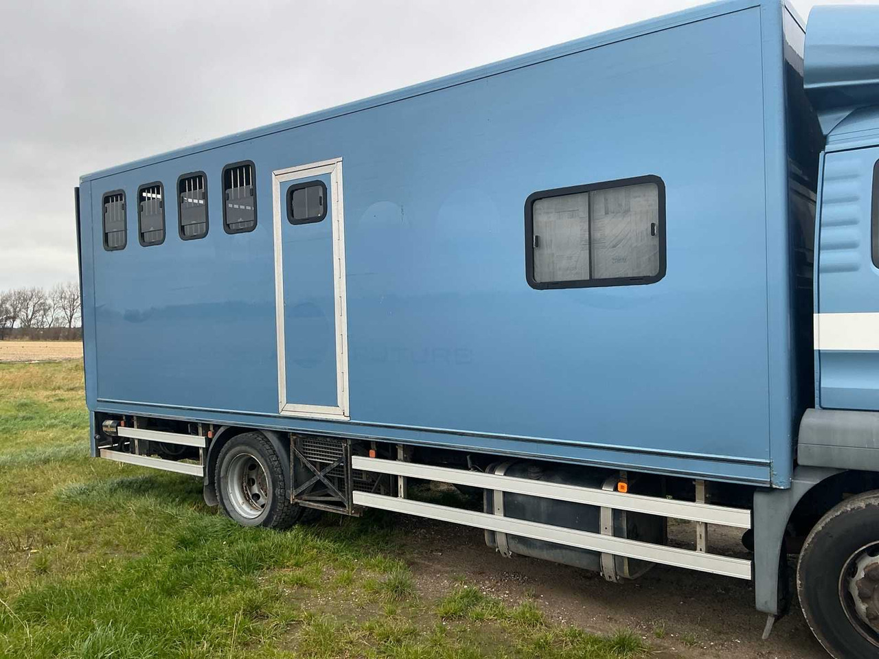 Camión 2004 MAN H09 CATTLE TRUCK: foto 9