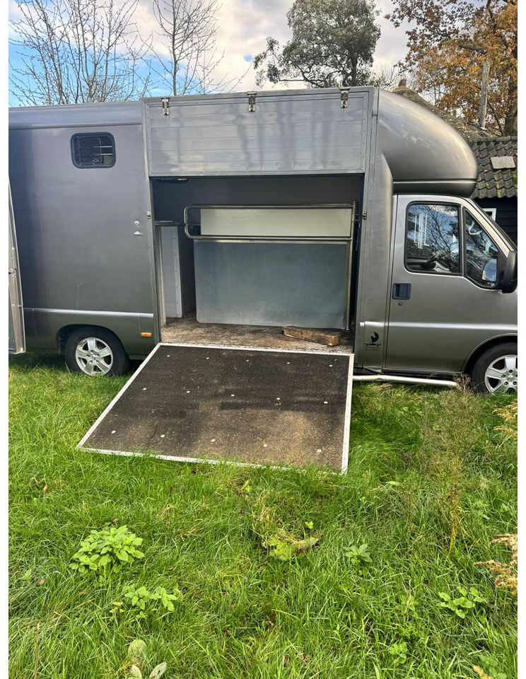 1999 FIAT DUCATO MAXI 18 2.8 ID 598-140 HORSE TRUCK - Furgoneta: foto 2 1999 FIAT DUCATO MAXI 18 2.8 ID 598-140 HORSE TRUCK - Furgoneta: foto 2