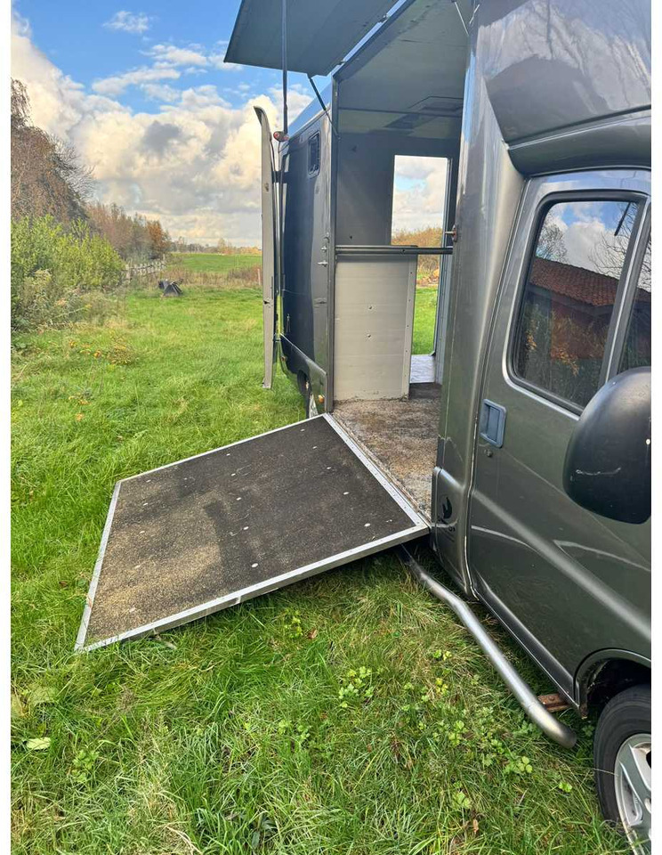 1999 FIAT DUCATO MAXI 18 2.8 ID 598-140 HORSE TRUCK - Furgoneta: foto 5 1999 FIAT DUCATO MAXI 18 2.8 ID 598-140 HORSE TRUCK - Furgoneta: foto 5