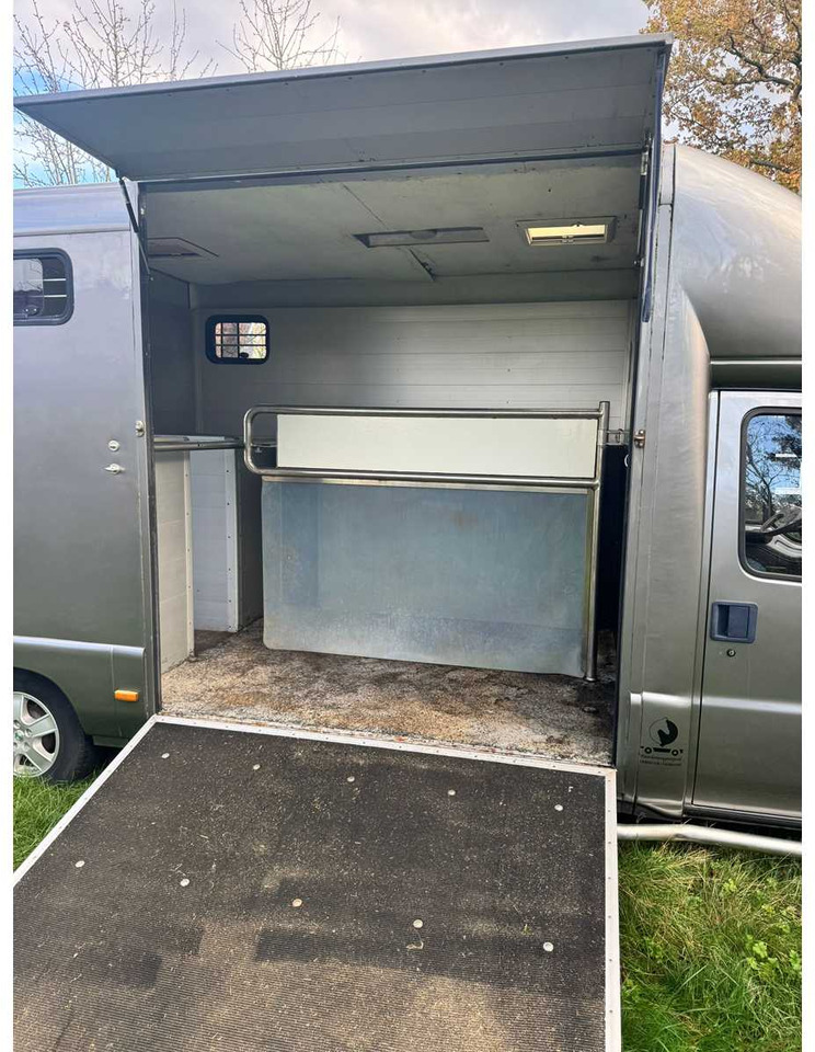 1999 FIAT DUCATO MAXI 18 2.8 ID 598-140 HORSE TRUCK - Furgoneta: foto 3 1999 FIAT DUCATO MAXI 18 2.8 ID 598-140 HORSE TRUCK - Furgoneta: foto 3