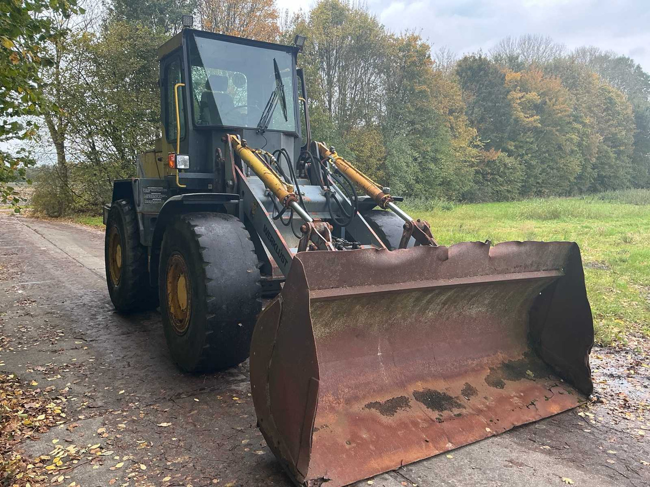 Werklust WG18C - Cargadora de ruedas: foto 3 Werklust WG18C - Cargadora de ruedas: foto 3