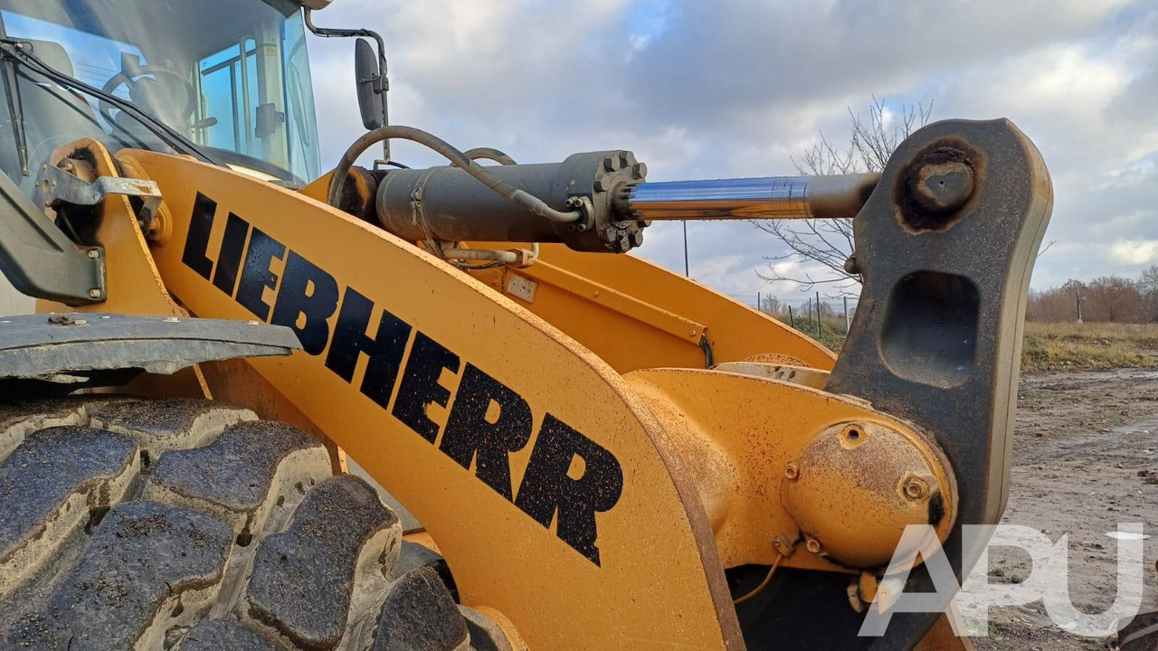 Cargadora de ruedas Liebherr L576 Xpower: foto 16 Cargadora de ruedas Liebherr L576 Xpower: foto 16