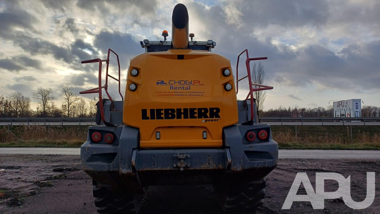 Cargadora de ruedas Liebherr L576 Xpower: foto 37 Cargadora de ruedas Liebherr L576 Xpower: foto 37