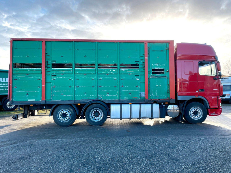 DAF XF 105.460 2-Stock Finkl Viehaufbau / Lenkachs - Camión transporte de ganado: foto 4 DAF XF 105.460 2-Stock Finkl Viehaufbau / Lenkachs - Camión transporte de ganado: foto 4