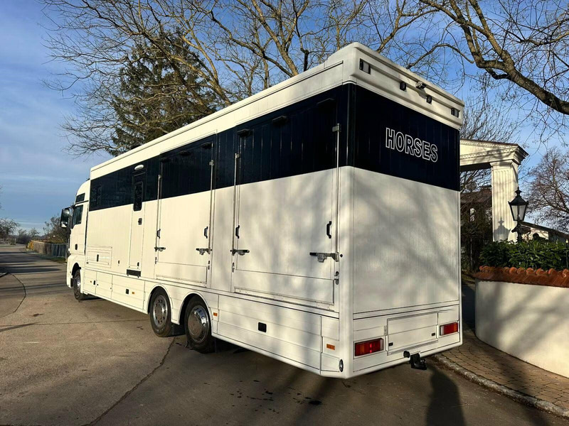 MAN TGX 26.440 - Horse transporter - Camión para caballos: foto 4 MAN TGX 26.440 - Horse transporter - Camión para caballos: foto 4