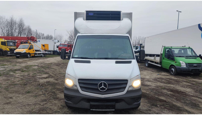Mercedes-Benz Sprinter 316 cdi - Carrier Xarios 500 frigo - 3,5t - 220V - Furgoneta frigorifica: foto 5 Mercedes-Benz Sprinter 316 cdi - Carrier Xarios 500 frigo - 3,5t - 220V - Furgoneta frigorifica: foto 5