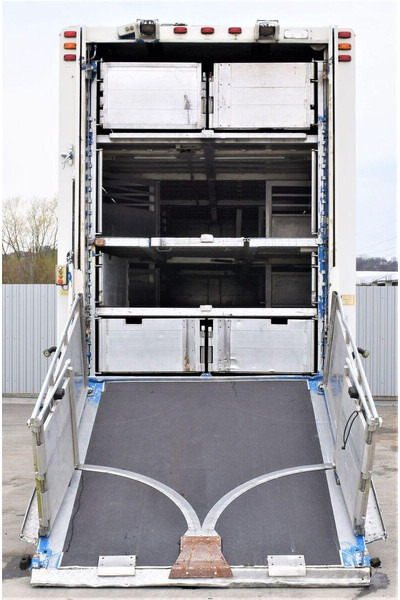 Scania R 500 - Camión transporte de ganado: foto 4 Scania R 500 - Camión transporte de ganado: foto 4