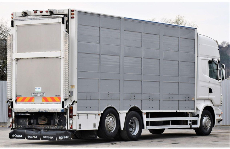 Scania R 500 - Camión transporte de ganado: foto 5 Scania R 500 - Camión transporte de ganado: foto 5
