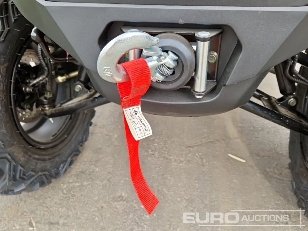 Cuadrimoto Unused TAO Motors TGA300F: foto 18