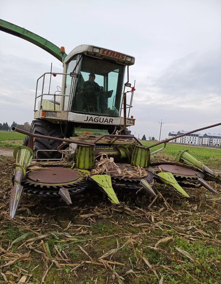 Claas Jaguar 840 - Cosechadora de forraje: foto 2 Claas Jaguar 840 - Cosechadora de forraje: foto 2