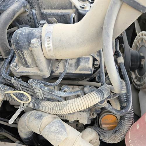 Leasing de Mustang AL506 Mustang AL506: foto 34