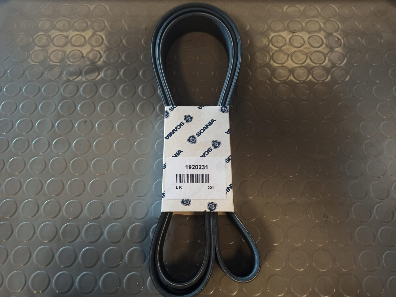 Correa para Camión SCANIA POLY-V-BELT - 1920231: foto 1