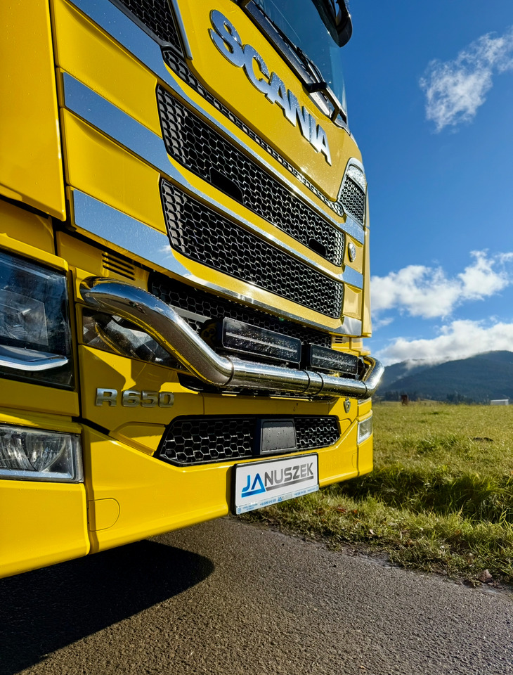 Camión forestal, Camión grúa SCANIA R650: foto 11