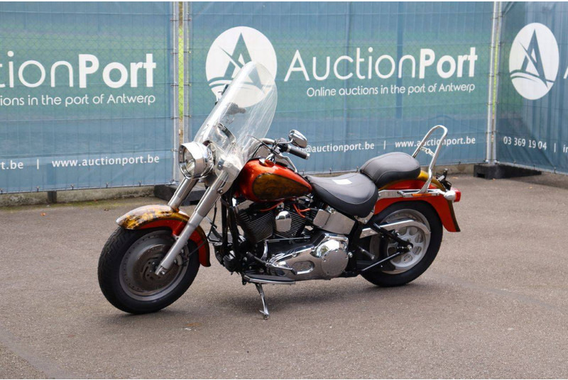 Motocicleta Harley-Davidson Fat Boy Softail: foto 9 Motocicleta Harley-Davidson Fat Boy Softail: foto 9