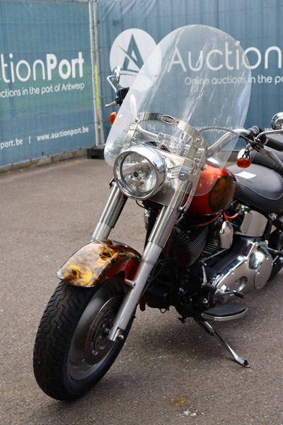 Motocicleta Harley-Davidson Fat Boy Softail: foto 12 Motocicleta Harley-Davidson Fat Boy Softail: foto 12