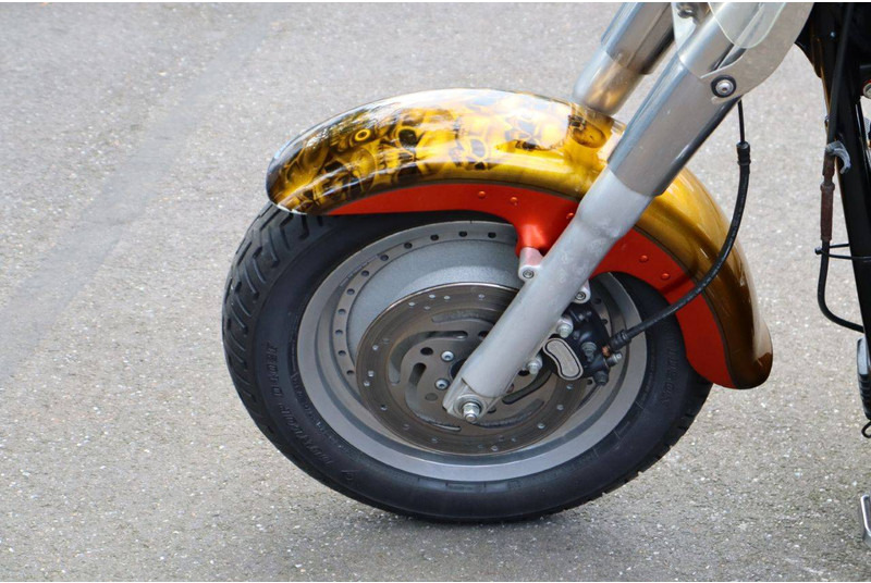 Motocicleta Harley-Davidson Fat Boy Softail: foto 11 Motocicleta Harley-Davidson Fat Boy Softail: foto 11