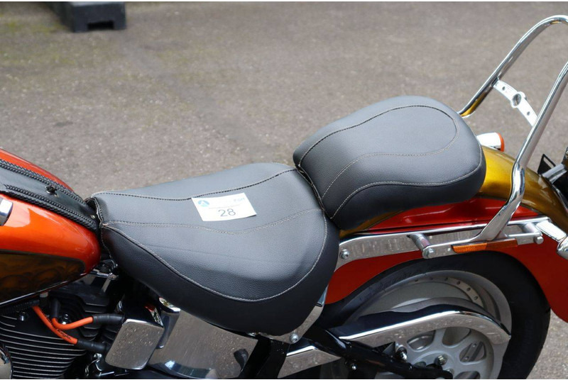 Motocicleta Harley-Davidson Fat Boy Softail: foto 19 Motocicleta Harley-Davidson Fat Boy Softail: foto 19