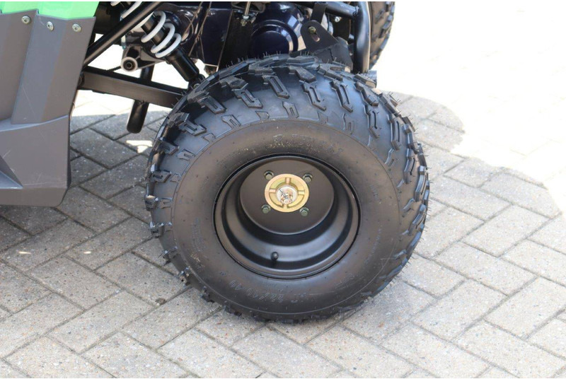 Carrito de golf nuevo Wextrem 200Pro: foto 13 Carrito de golf nuevo Wextrem 200Pro: foto 13