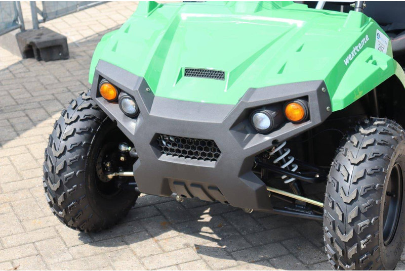 Carrito de golf nuevo Wextrem 200Pro: foto 9 Carrito de golf nuevo Wextrem 200Pro: foto 9