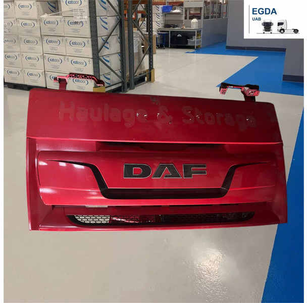 DAF - Parrilla: foto 1 DAF - Parrilla: foto 1
