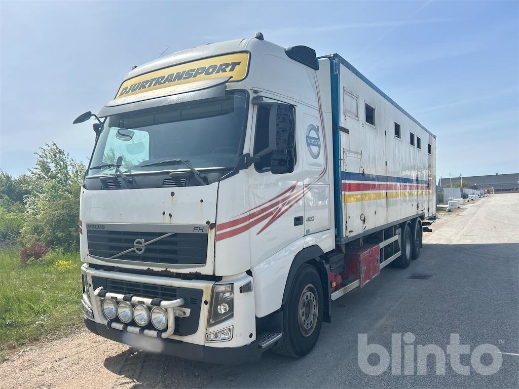 VOLVO FH 420 6*2 - Camión transporte de ganado: foto 2 VOLVO FH 420 6*2 - Camión transporte de ganado: foto 2