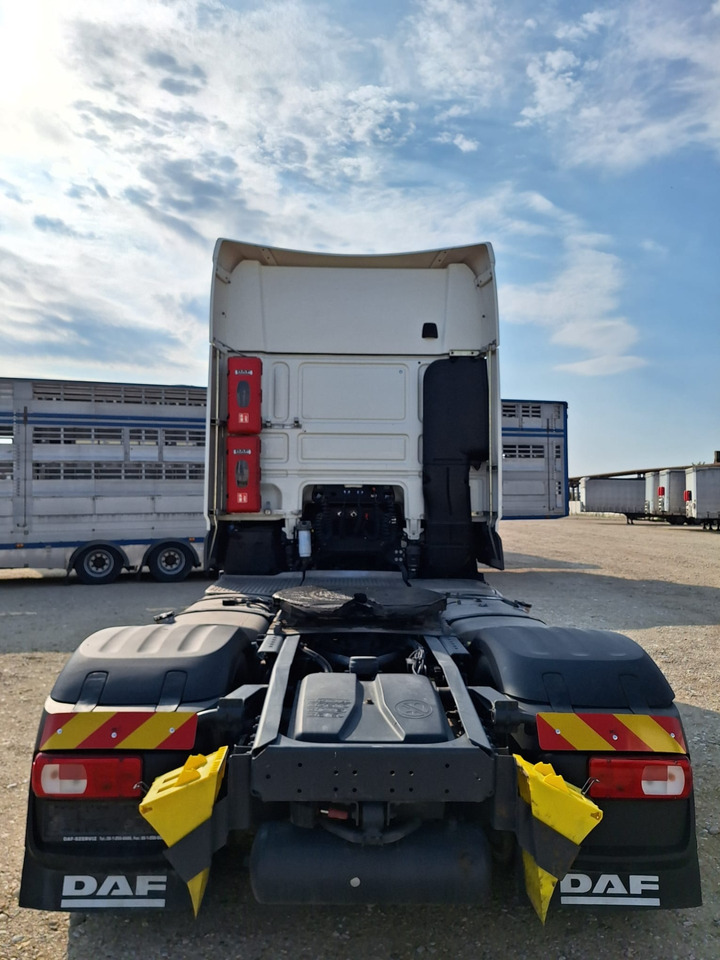 Cabeza tractora nuevo DAF XF 480: foto 6